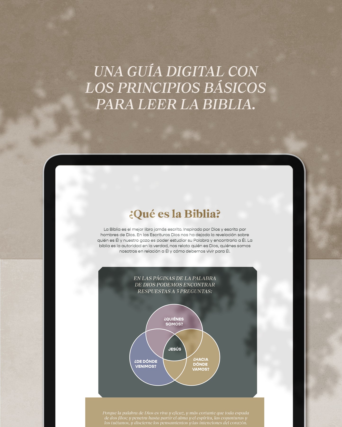 Ebook: Basics de estudio bíblico